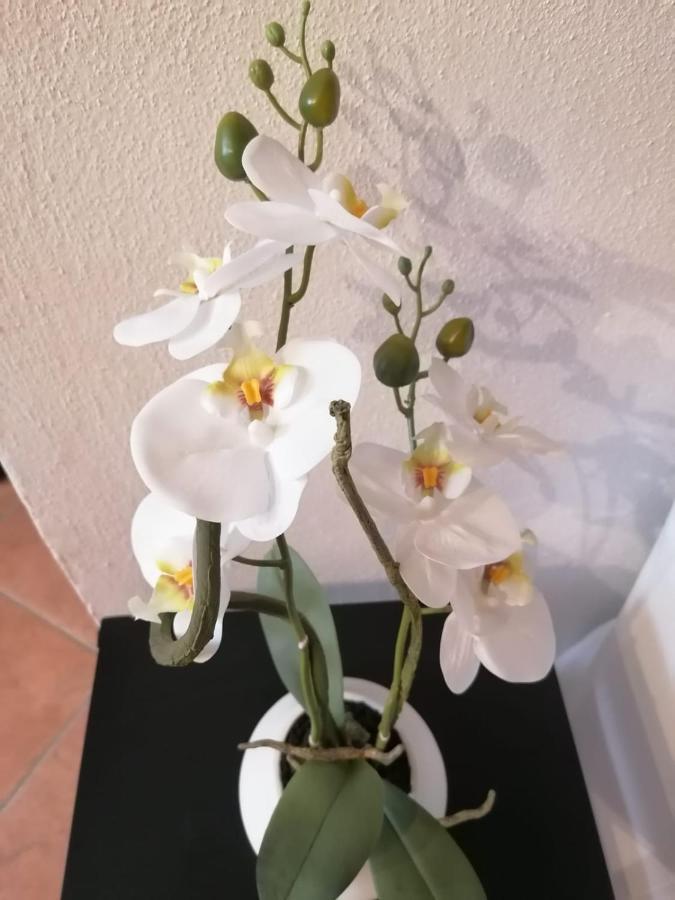 Apartamento PERLA DEL GOLFO  Lerici Exterior foto
